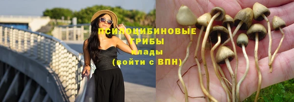 ALPHA-PVP Нефтекумск