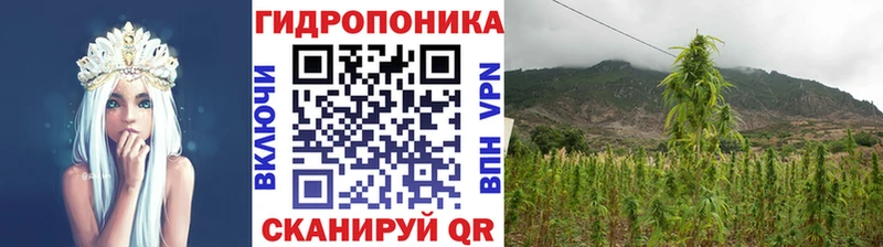 Купить закладки  Фурманов  Марихуана сатива 